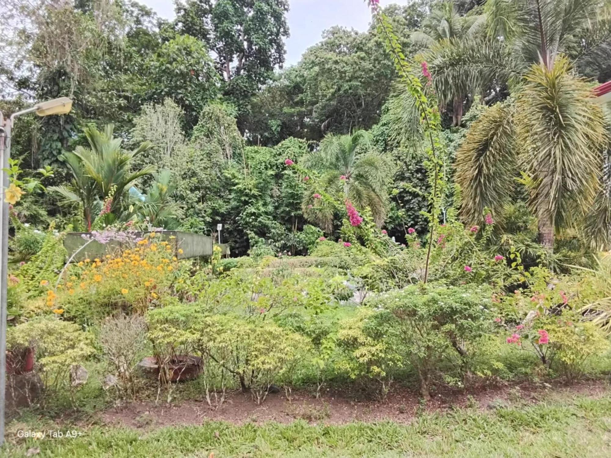 Camiguin Lanzones Resort Мамбаджао Екстериор снимка