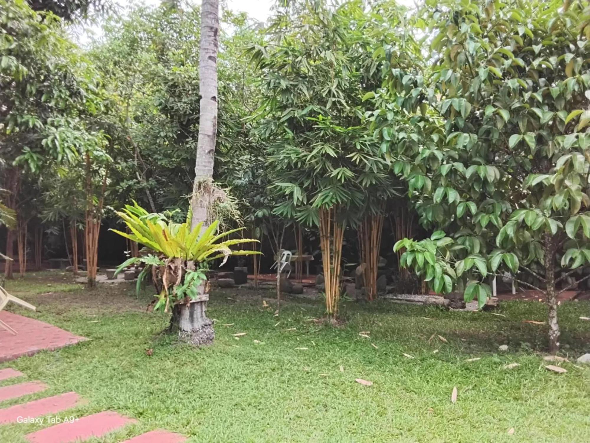 Camiguin Lanzones Resort Мамбаджао Екстериор снимка