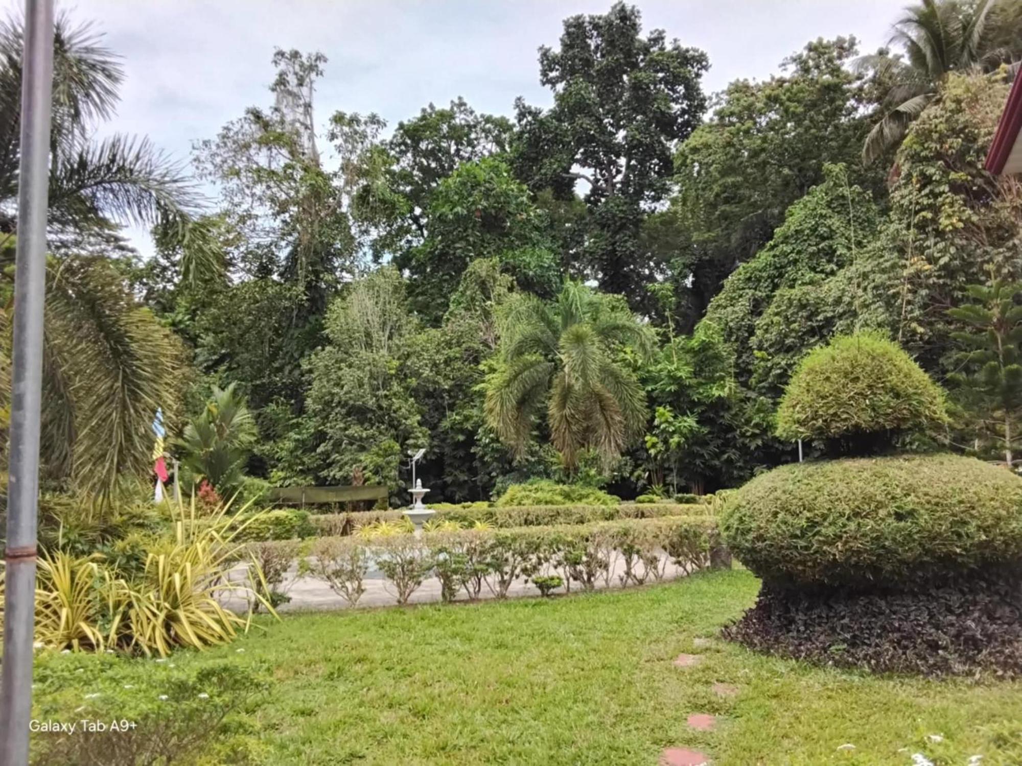 Camiguin Lanzones Resort Мамбаджао Екстериор снимка